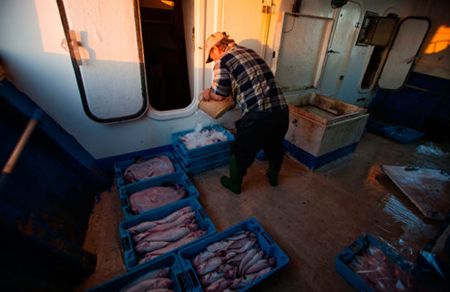 El Plan Plurianual de gestión de la pesca demersal del Mediterráneo a debate. Una reflexión fundamental.