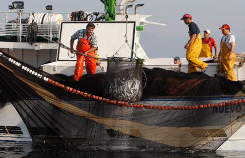 Los líderes y el juego de la pesca