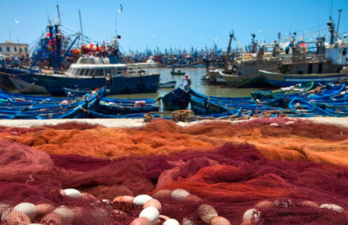 ¿Qué le pasa a nuestra pesca?