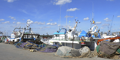 La Junta de Andalucía publica el marco regulador de las ayudas a la pesca sostenible