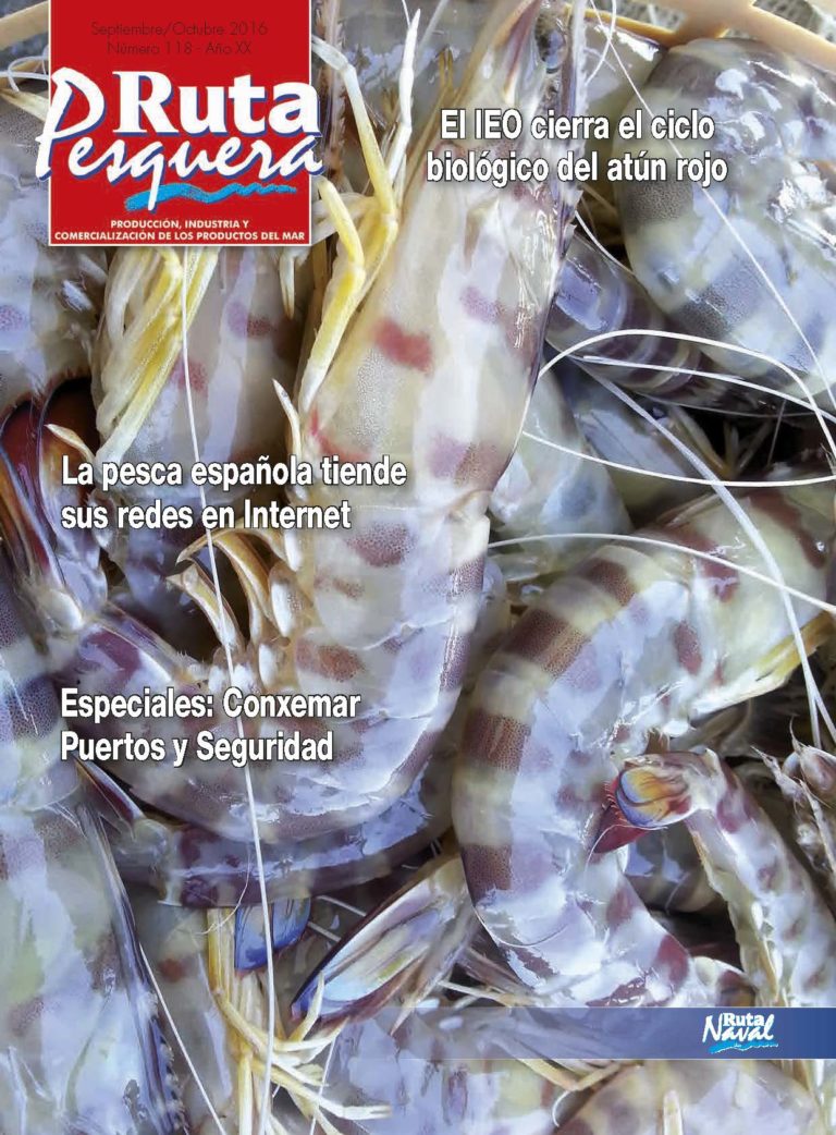 Revista 118