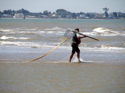 Las reservas de pesca en la Comunidad Autónoma de Andalucía