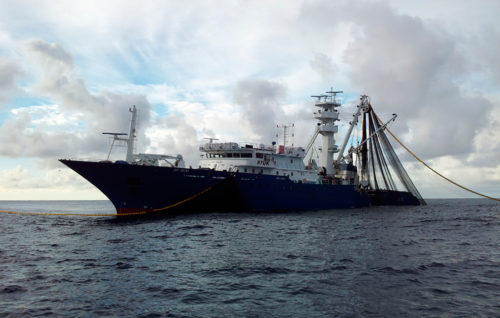 Atún listado Echebastar en el océano Índico obtiene la certificación de MSC