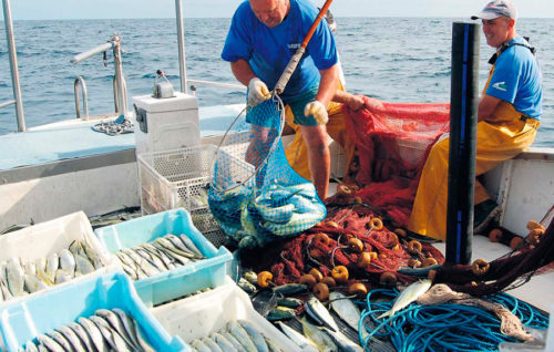 La Eurocámara dio luz verde al primer plan pesquero para el Mediterráneo occidental
