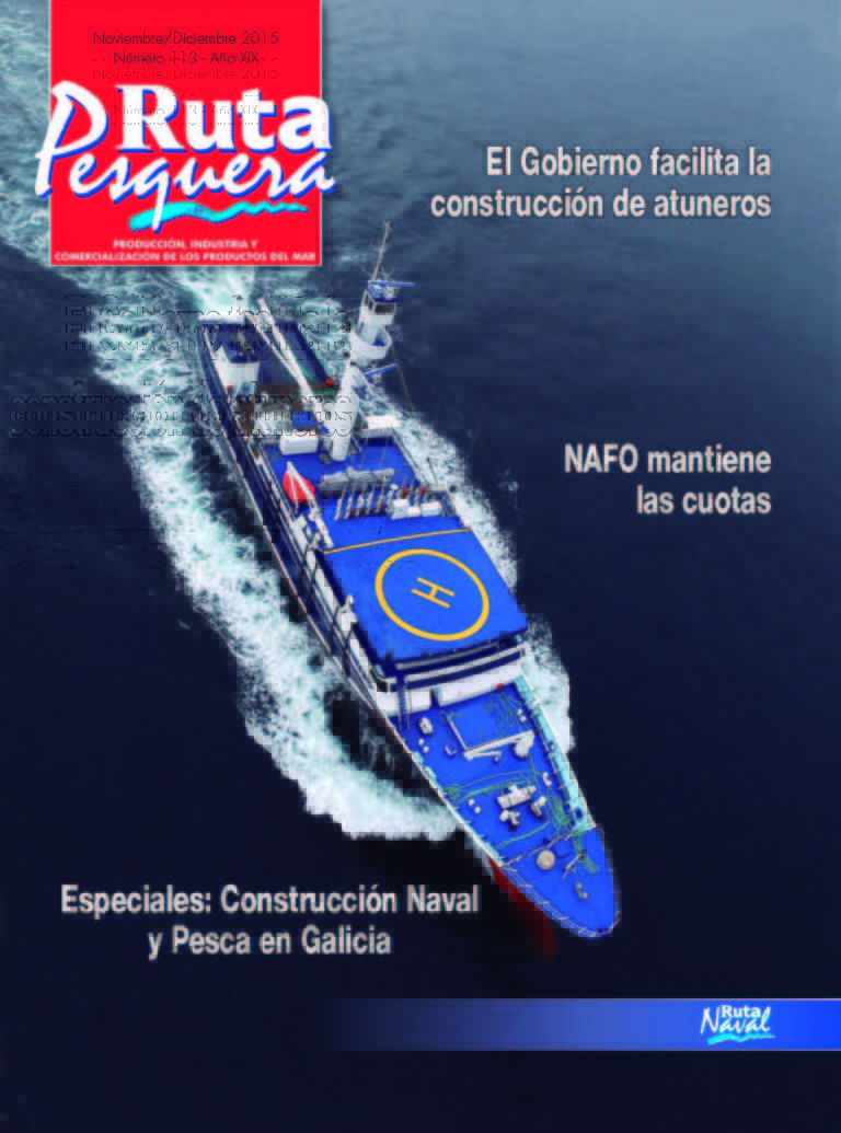 Revista 113