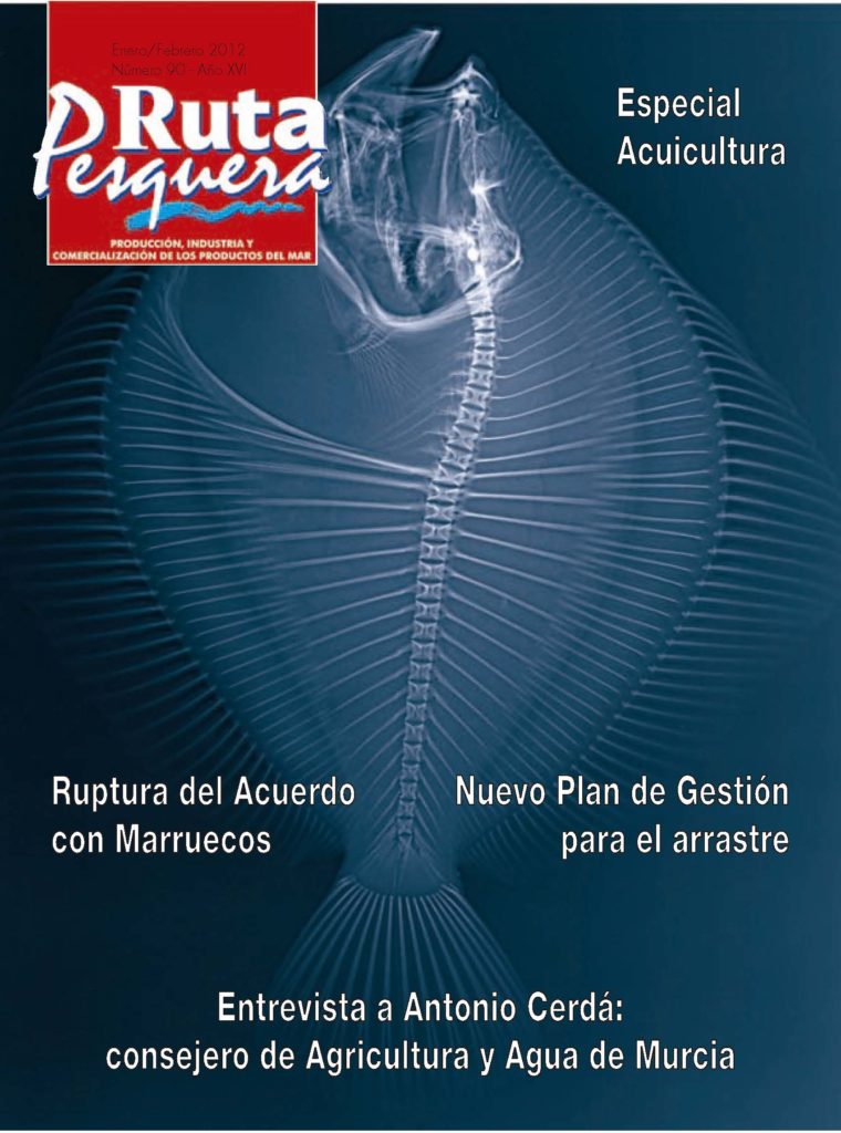 Revista 90