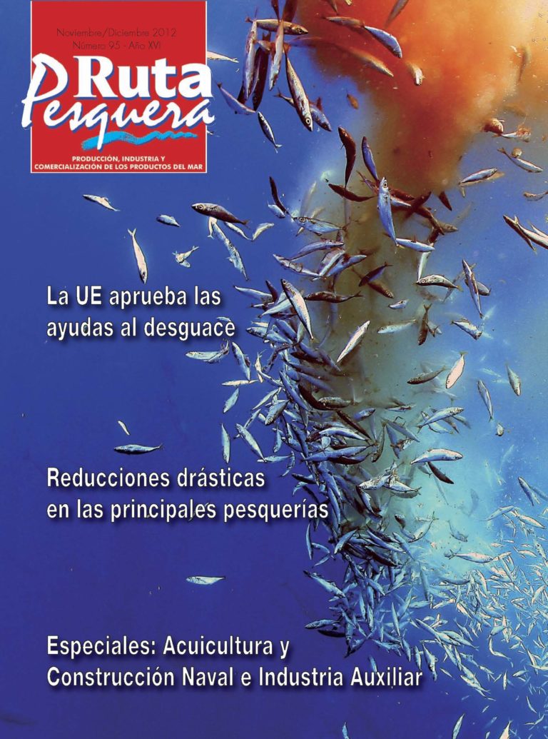Revista 95