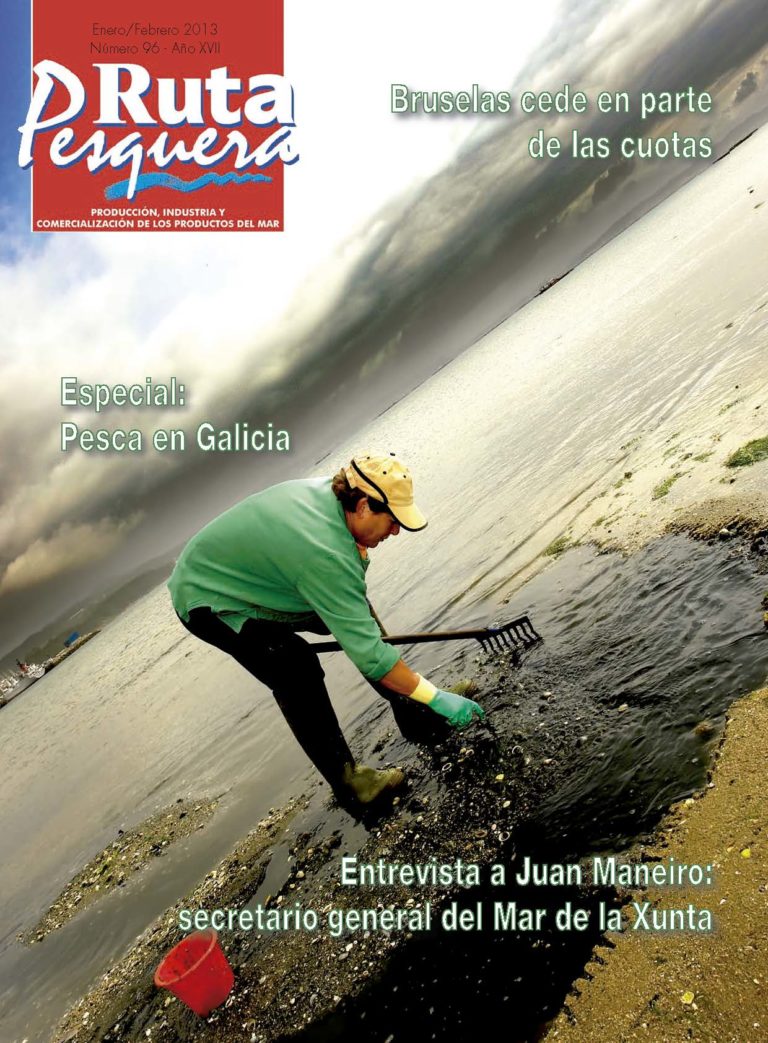 Revista 96