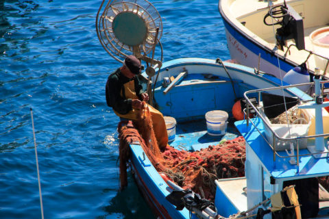 Medfish es un proyecto que trabaja para  mejorar la sostenibilidad de la pesca en el Mediterráneo
