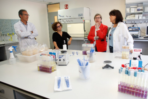 Galicia mejora el control de la ostra y mejillón para la cuantificación de norovirus