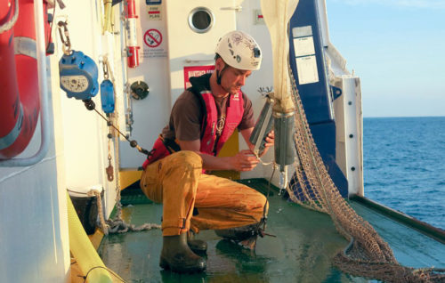 La población de anchoa juvenil se mantiene en el golfo de Bizkaia