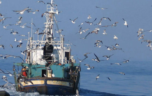 Avances para España en la negociación del acuerdo de pesca UE-Mauritania