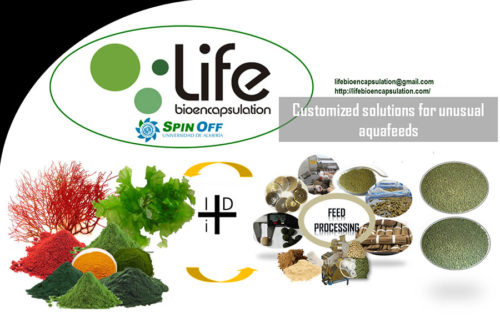 Life Bioencapsulation: Una spin-off que evalúa el uso de las algas<br> en piensos funcionales para acuicultura