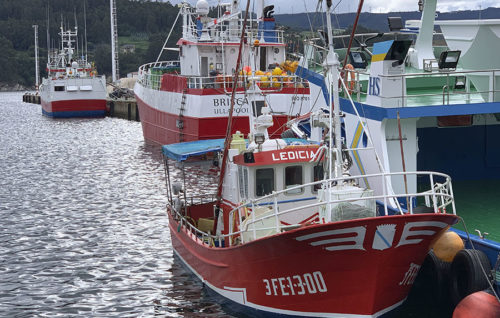Aniversario Jornadas de Pesca de Celeiro: 25 años dando voz y visibilidad a la actualidad pesquera
