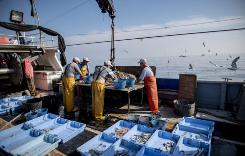 Proyecto  Upcycling The Oceans 2019. Pescadores gallegos recuperan más de 4.600 kg de basura marina