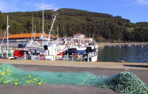 La Xunta aboga por una futura PPC que considere las singularidades de las regiones pesqueras