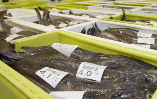 La cuota de merluza para España crece hasta las 9.201 toneladas