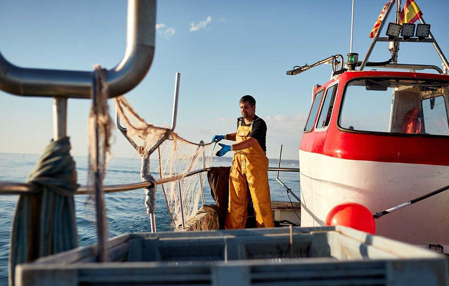 Las mejores ofertas en Líneas de Pesca de pesca ANDE claro y líderes