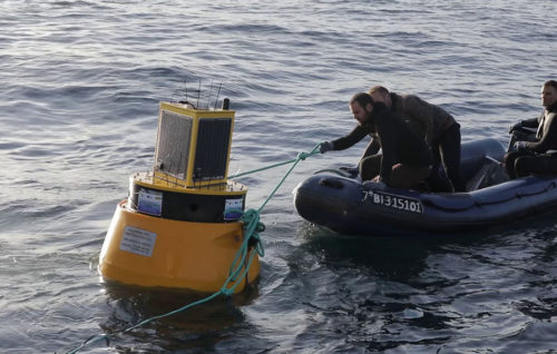 Investigadores analizan la presencia de atún listado en las costas de la Región de Murcia