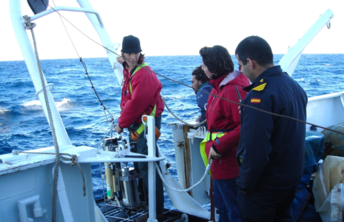 UCA lidera una editorial sobre fitoplancton marino