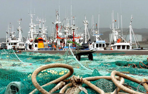 Cepesca solicita al nuevo Gobierno un Ministerio del Mar y eliminar el IVA del pescado