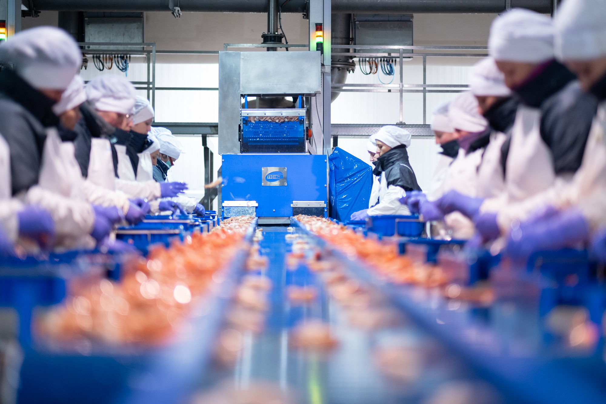 O titular do Goberno galego visita a empresa Centro Frigorífico Conservero Cefrico