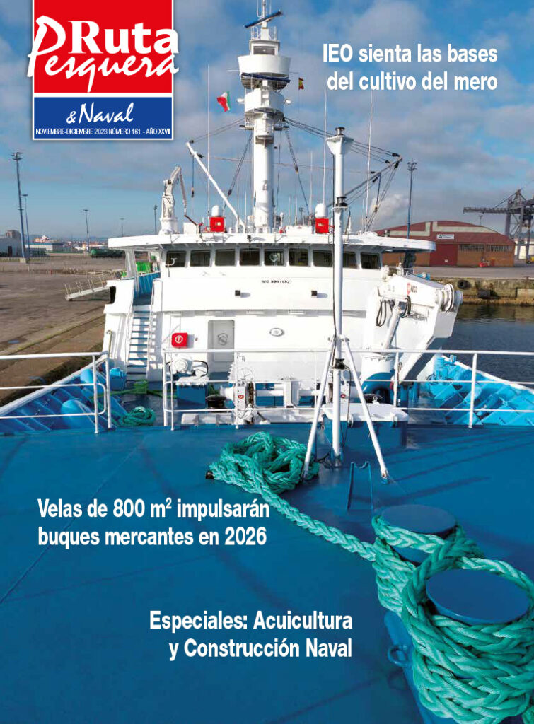 Revista 161