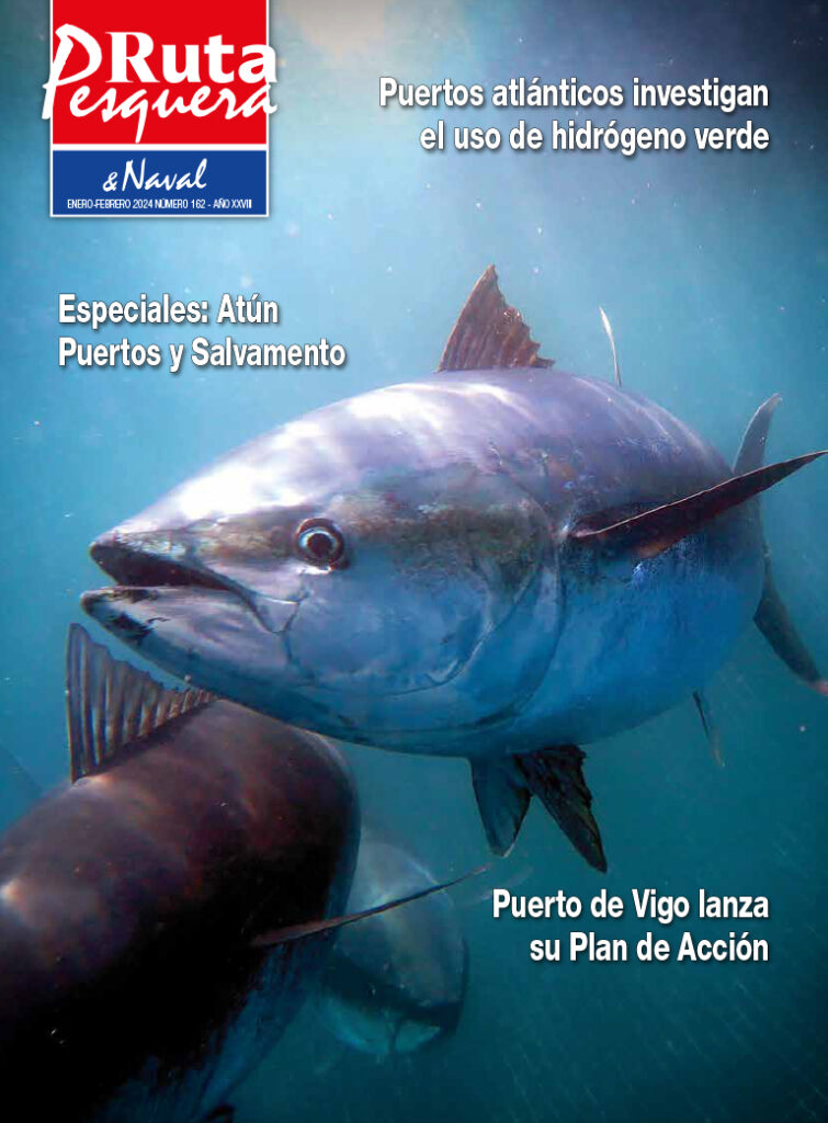 Revista 162