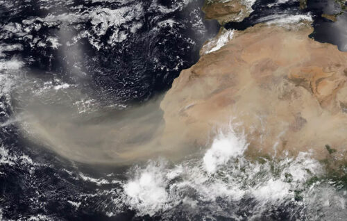 El polvo del Sahara influye en la migración y pesca del atún listado del Atlántico