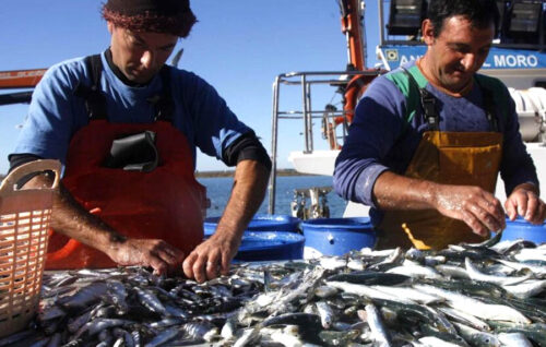 El IFAPA potencia su oferta formativa marítimo-pesquera mediante la formación online