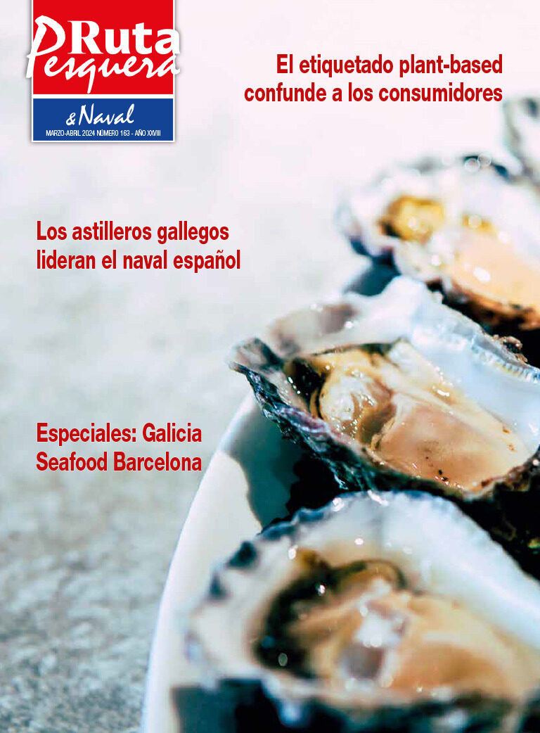 Revista 163