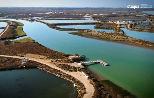 SALBAHÍA propondrá pilotos demostrativos de cultivos en las salinas para atraer inversión