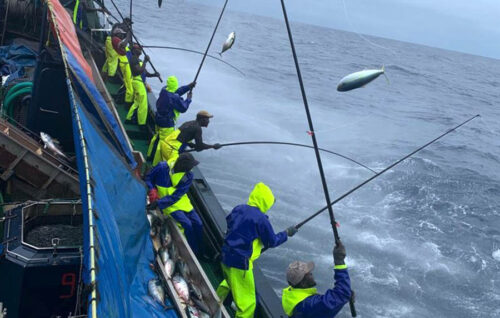 Atuneros vascos de Dakartuna logran sello de MSC por su pesca sostenible