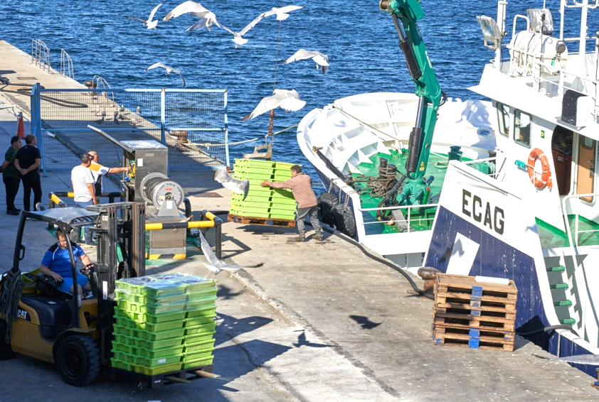 cepesca f